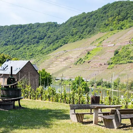 Haus Junge Traube Appartement Bruttig-Fankel