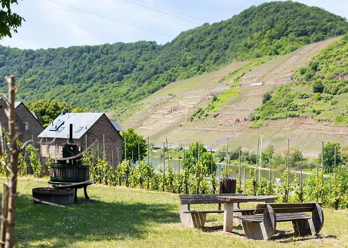 Haus Junge Traube 아파트 브루티크판켈