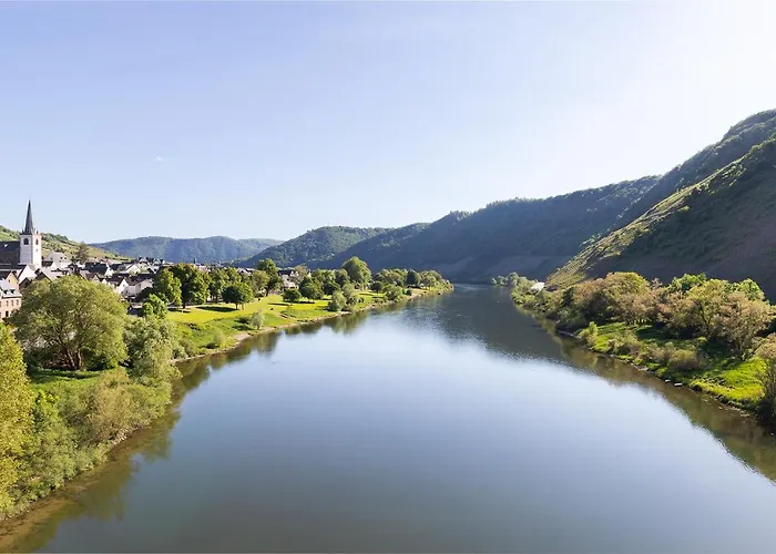 Haus Junge Traube 아파트